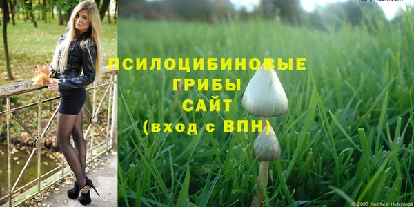 ешки Михайлов