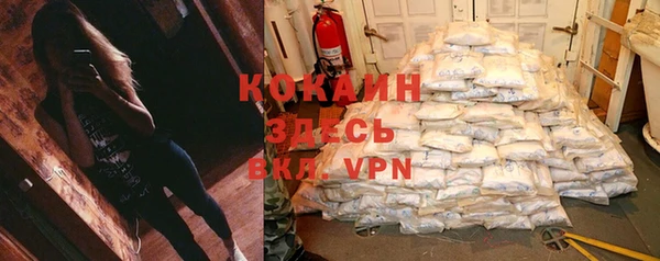 хмурый Михайловск