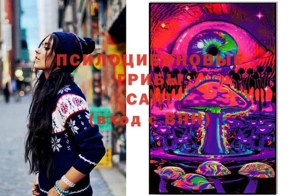 спиды Мегион