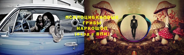 спиды Мегион